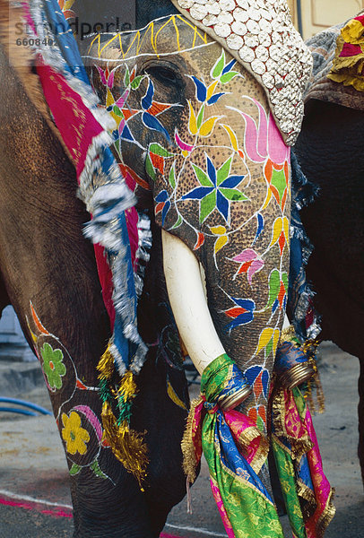 Close-up  close-ups  close up  close ups  Dekoration  Elefant  Festival  Prozession