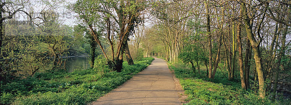 The Thames Path  Near Kew Gardens  West London.