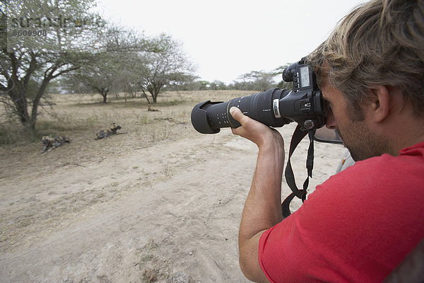 Wildhund Tourist Safari fotografieren