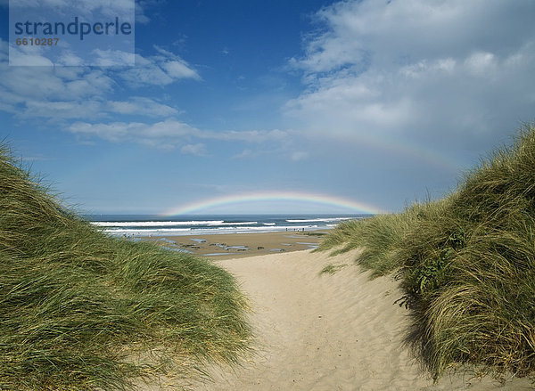 sehen  blättern  Düne  Regenbogen