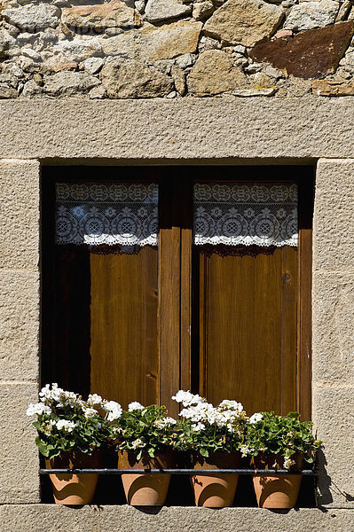 Mittelalter  Fenster  Blume  frontal  Dorf