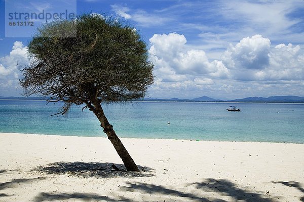 Strand Baum Insel