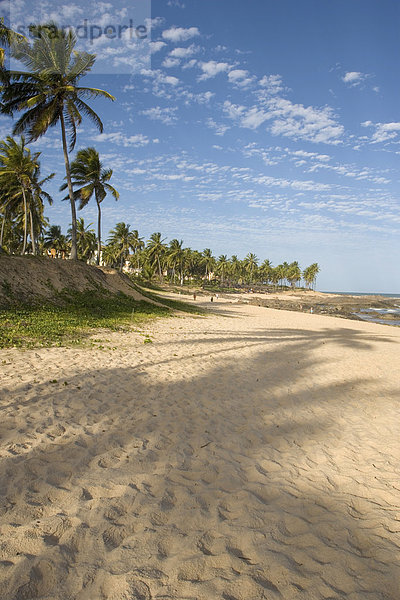 Strand  Urlaub  Bahia  Brasilien
