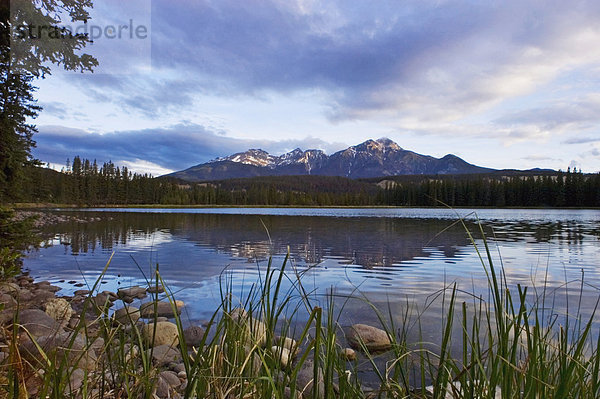 Berg  See  Hintergrund  Berggipfel  Gipfel  Spitze  Spitzen  Jasper Nationalpark  Kanada