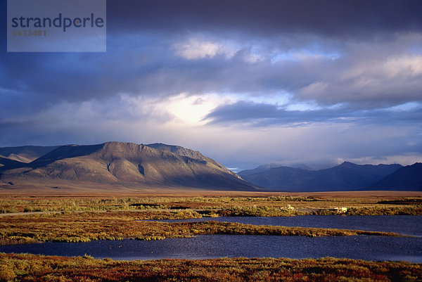 Mountains and lakes  Dempster Highway