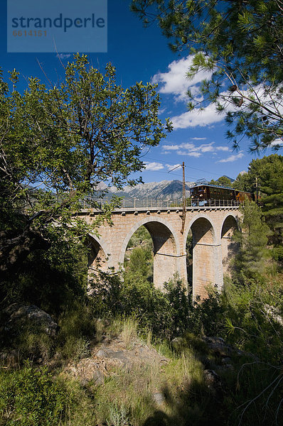gehen  über  Olive  Balearen  Balearische Inseln  Hain  Mallorca  Spanien  Zug  Viadukt
