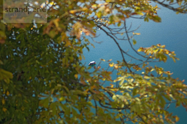 entfernt  Baum  Boot  Ansicht  Distanz  Slowenien