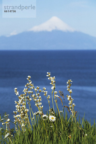 See  Vulkan  Llanquihue  Osorno