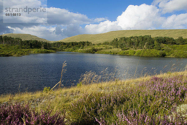 Leuchtturm  Stausee