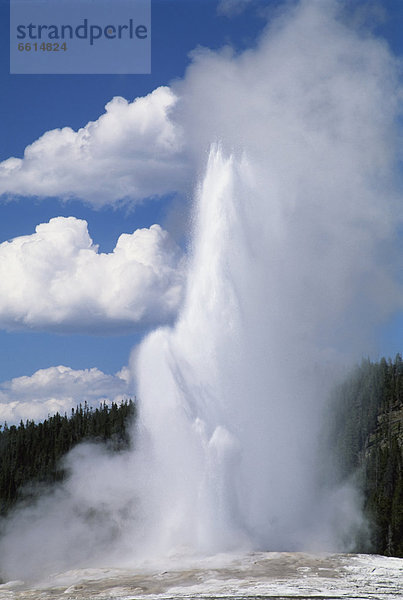 Geysir