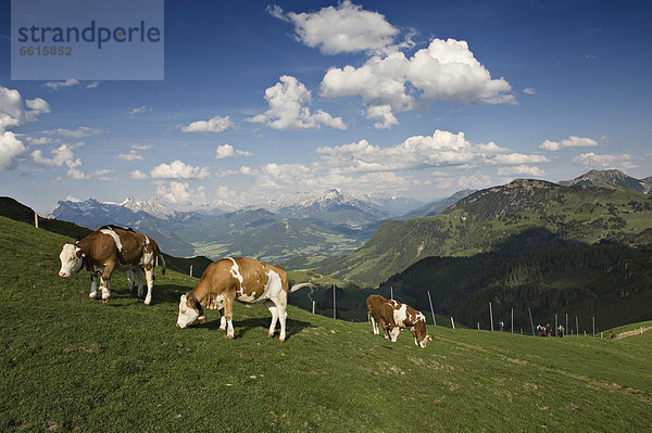 Panorama  Berg  Fotografie  Ansicht  Österreich  Tirol