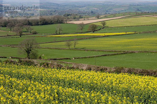 Großbritannien  Devon