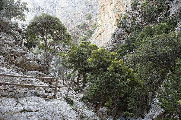 Europa folgen Produktion Holz wandern Geländer Kreta Griechenland