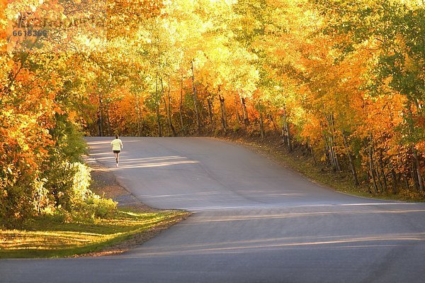 Landschaftlich schön  landschaftlich reizvoll  Fernverkehrsstraße  Herbst