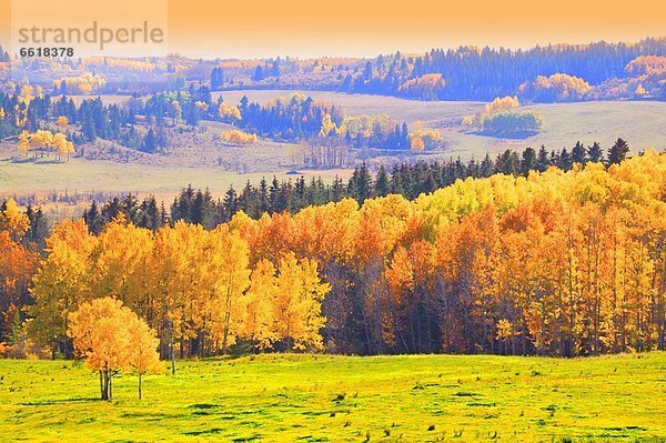 Ländliches Motiv ländliche Motive Herbst