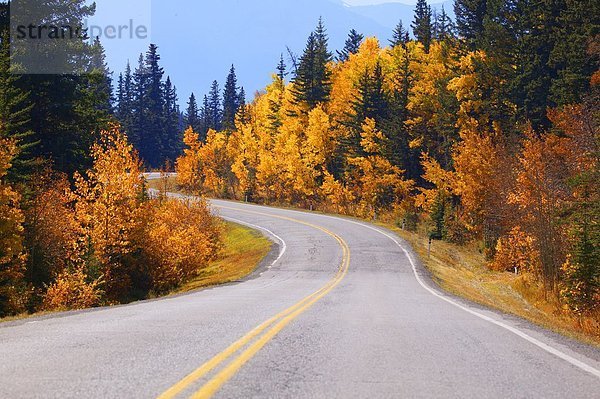 Biegung  Biegungen  Kurve  Kurven  gewölbt  Bogen  gebogen  Fernverkehrsstraße  Herbst