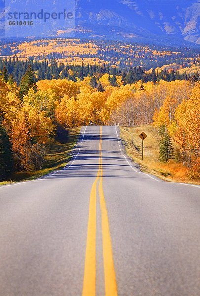 Herbst Bundesstraße