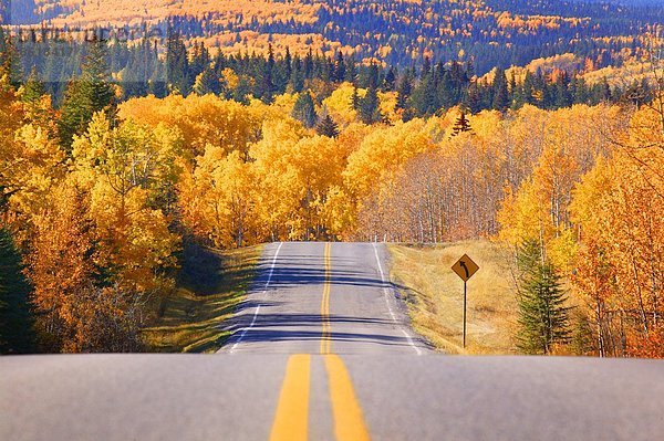 Landschaftlich schön  landschaftlich reizvoll  Bundesstraße