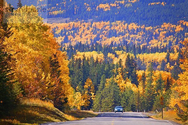 Landschaftlich schön  landschaftlich reizvoll  Auto  Reise  Tal