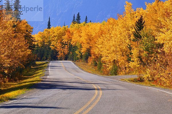 Landschaftlich schön  landschaftlich reizvoll  Fernverkehrsstraße  Herbst