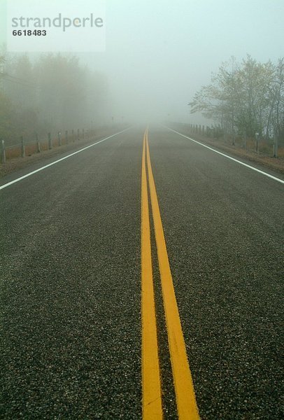 führen  Nebel  Bundesstraße