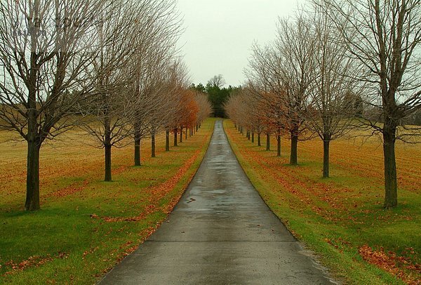 An Autumn Scene