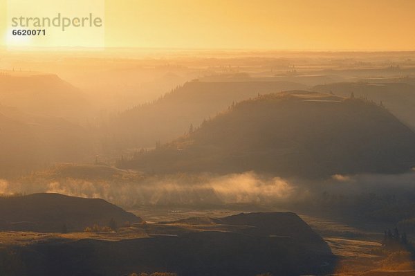 Sonnenuntergang  trocken  springen  Insel  Ländliches Motiv  ländliche Motive  Büffel  Alberta  Kanada