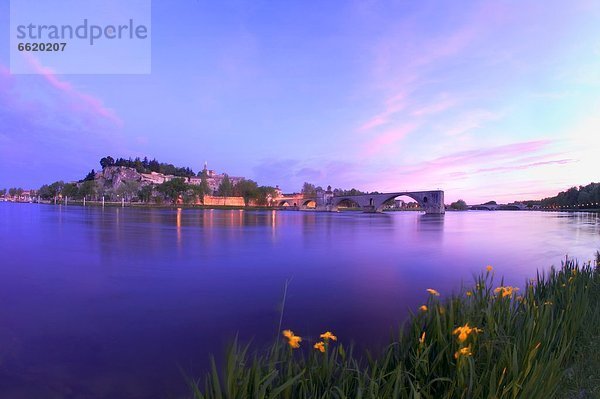 Frankreich  Provence - Alpes-Cote d Azur  Avignon