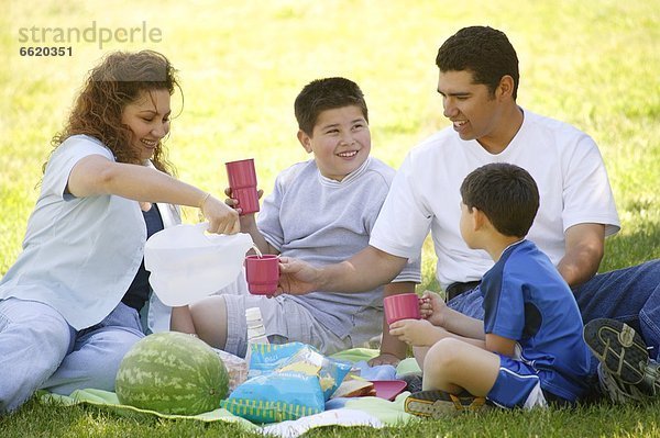 Fröhlichkeit  Picknick