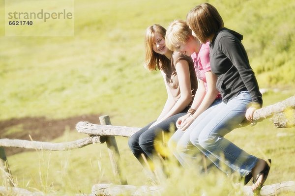 sitzend Freundschaft Zaun