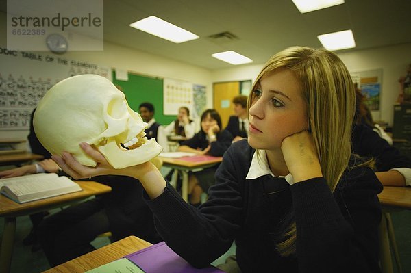 Student  Untersuchung  Totenkopf