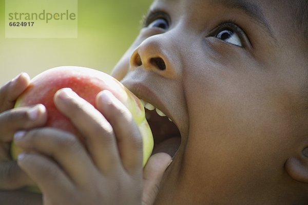 Apfel  essen  essend  isst