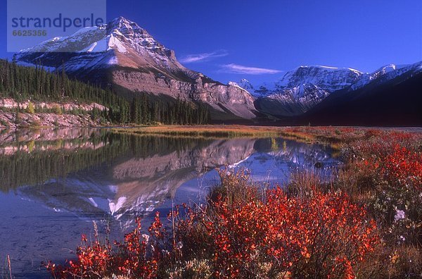 Jasper Nationalpark  Alberta  Kanada  Bergsee