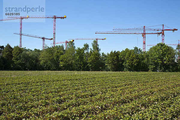 Kräne auf einer Baustelle an einem Feld