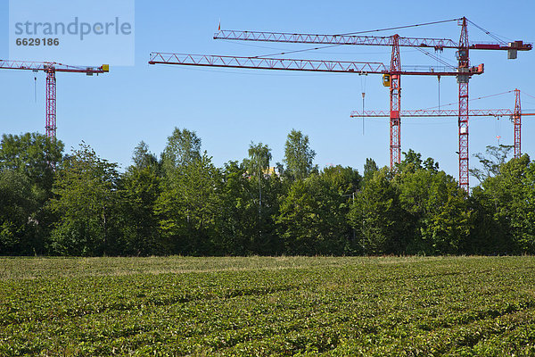 Kräne auf einer Baustelle an einem Feld