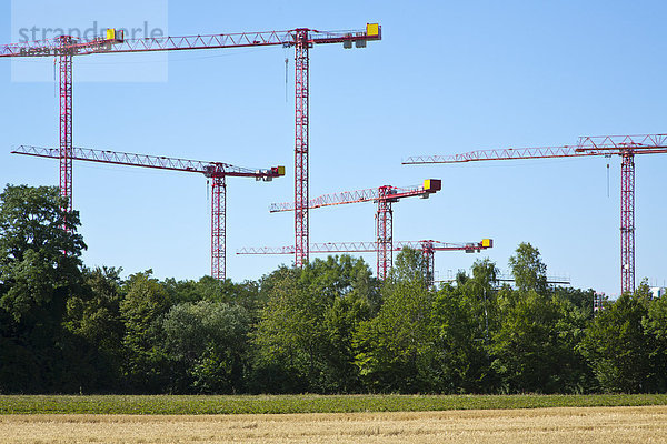 Kräne auf einer Baustelle an einem Feld