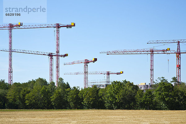 Kräne auf einer Baustelle an einem Feld