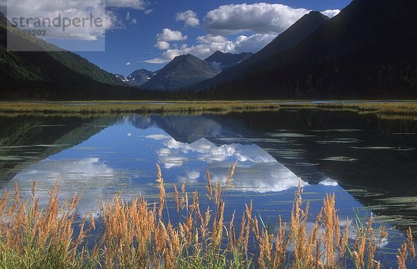 Vereinigte Staaten von Amerika  USA  Kenai-Fjords-Nationalpark  Alaska  Bergsee