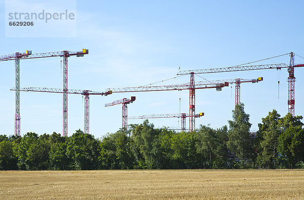 Kräne auf einer Baustelle an einem Feld