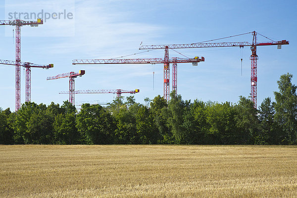 Kräne auf einer Baustelle an einem Feld