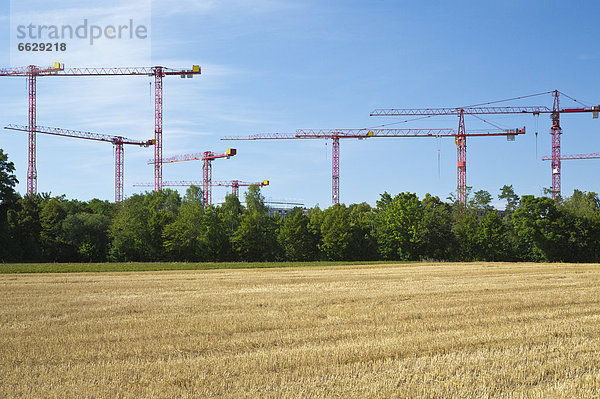 Kräne auf einer Baustelle an einem Feld