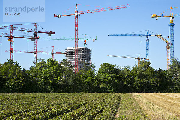 nahe bauen Feld Kran