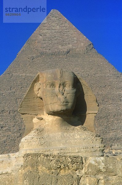 pyramidenförmig  Pyramide  Pyramiden  groß  großes  großer  große  großen  Pyramide  Sphinx