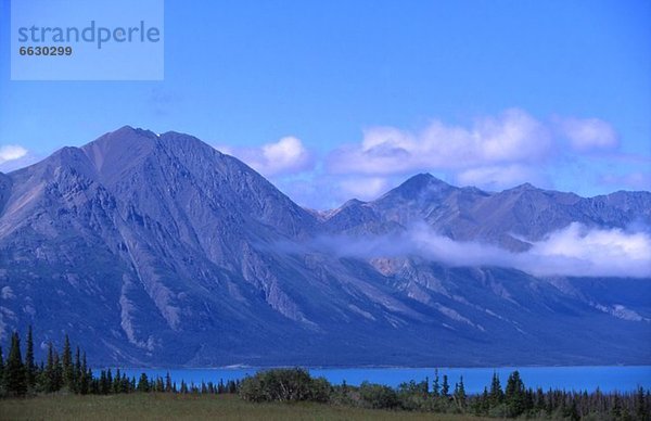 Yukon  Kluane Nationalpark  Kanada