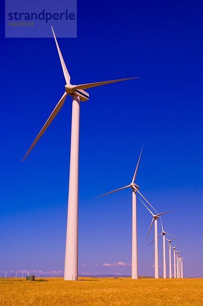 Windturbine Windrad Windräder Alberta Kanada