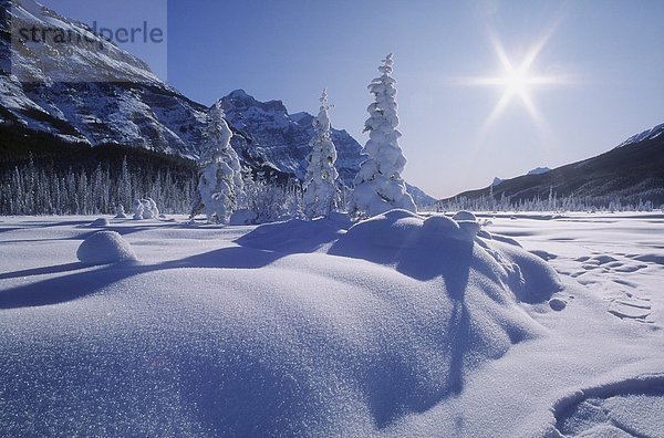 Banff Nationalpark  Alberta  Banff  Kanada