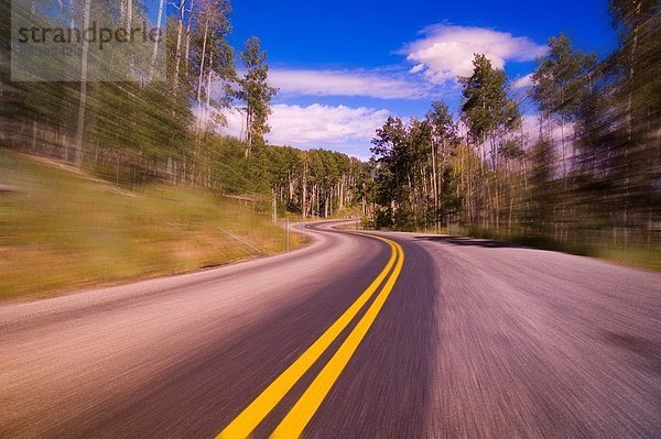 Curved Roadway