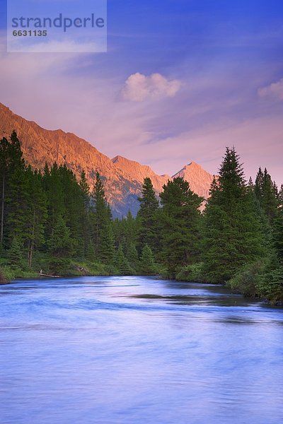 Elch  Alces alces  Berg  Sonnenuntergang  Fluss  British Columbia  Kanada