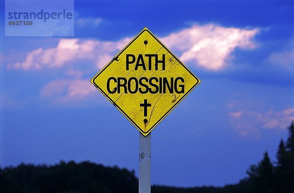 Path Crossing
