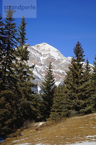 A Mountain Scene